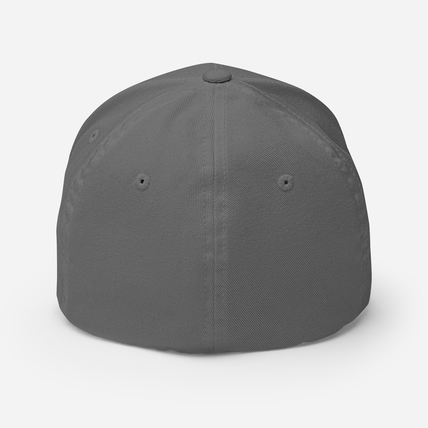 ISI Fitted Hat - Black