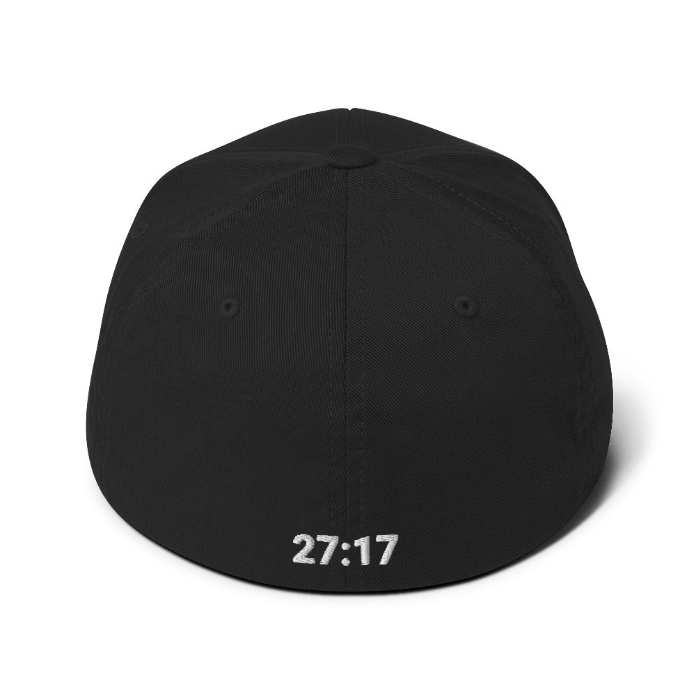 Iron Sharpens Iron Fitted Hat - 27:17 Back Embroidered